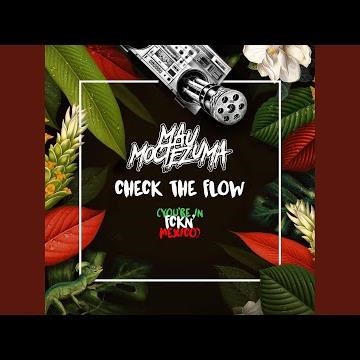 Check the Flow (You're In fckn' Mexico)