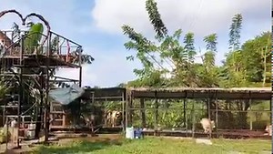 You deserve this kind of rest 🍃 📍 Kubs Mountain Resort Tanay, Rizal | Kubs