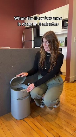 Efficient Litter Cleanup with Litter Genie