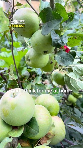 On the BBC Gardeners' World magazine podcast, discover practical tips for nurturing and enjoying home-grown produce with presenter Adam Frost. Listen as he gives advice for what to grow throughout the year, what he has enjoyed in the veg patch this year and how he looks after his plot. From his early influences in the garden and in the kitchen, Adam also reveals a tasty recipe for how to cook marrows! This podcast was recorded at BBC Gardeners' Word Autumn Fair in August 2025. | BBC Gardeners' W