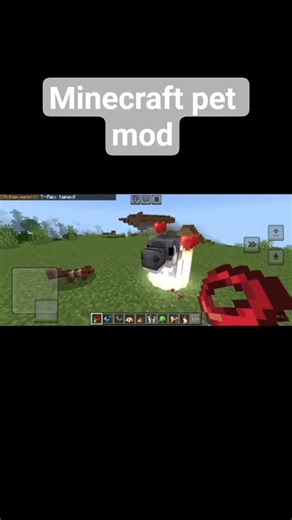 I added the pet mod in Minecraft