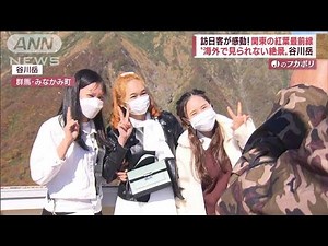 訪日観光客、紅葉にうっとり！円安追い風に日本の秋を満喫(2022年10月20日)