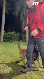 FAST VISUAL SWITCH COMMAND – Teach Your Dog to "Have Your Back"! Ever wish your dog could react instantly when you need them? This is how I train a lightning-fast visual switch—so they’re always ready! ⚡ 🔹 Starting in a focus heel to make the transitions extra challenging (because sharp skills = a sharper dog!) 🔹 Pro tip: Your biggest training superpower? IMAGINATION! 🎨 🔹 Target used: Just one piece of kibble (yes, it’s that simple!) ⚠️ Warning: Your dog will become OBSESSED with this game! 