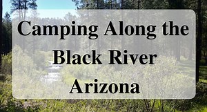 Camping Along the Black River in Arizona - Forever Sabbatical
