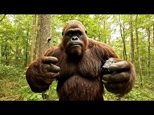 Bigfoot (TIK TOK) Vlogs Compilation: THIS IS WHY WE LOVE HIM