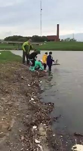 23 reactions | Sampling aquatic macroinvertebrates from the Trinity River at Panther Island Pavilion in Fort Worth to determine the level of pollution. Turns out the Trinity is a healthy ecosystem! Our Texas Wildlife Association - Youth Education - LANDS educators making an impact! #ImpactTexas | Texas Wildlife Association | Facebook