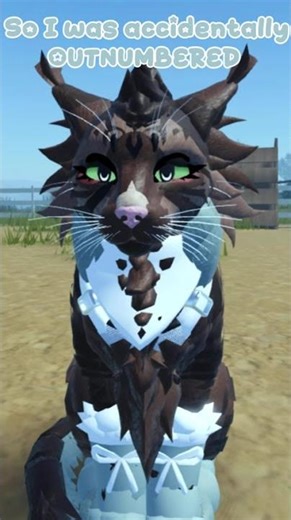 DONT RANDOMLY JUMP💔 | WCUE | #wcuecc