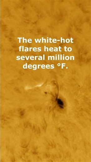 GIANT Solar Flare Larger Than Earth