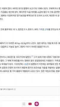 돼지의 모든것
