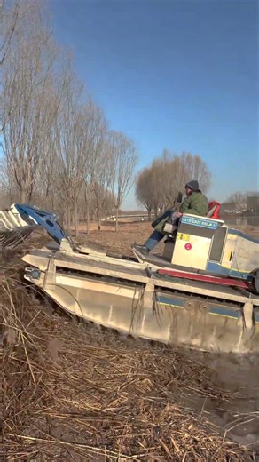 Water Body Cleaning with Amphibious Machinery | Reed and Aquatic Vegetation Removal