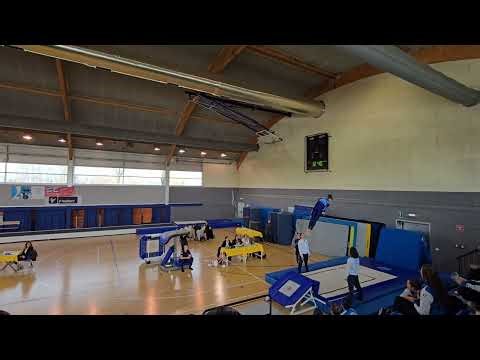 2026_Tramp_Nuova Realtà