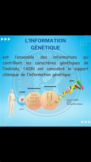 Svt Challal on Instagram: "Définitions chapitre 1 Information génétique #bac2026 #maroc #svt #2bac #BioF"