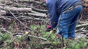 Tornado tears through Lake Village, Indiana, killing two