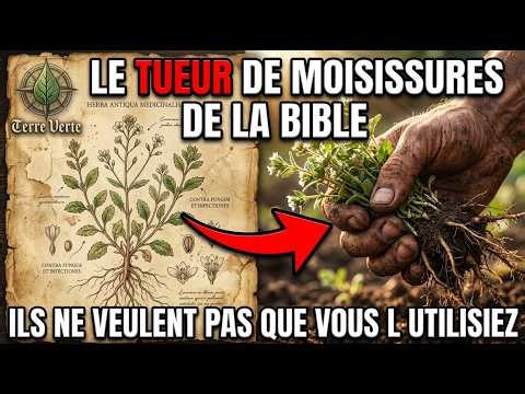 L'Antiseptique de Dieu : Il Tue les Virus au Contact. Pourquoi l'Industrie l'a Effacé ?