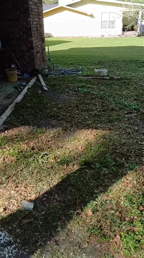 This is a quick update from Sweet Martha’s Family Farmacy — and listen… I finally almost got that whole back yard cut down with a weed eater. 😂 Once I could actually see the ground again, the possibilities opened all the way up. I’m excited in a way I haven’t been in a long time, because this year I get to use the entire yard for growing, creating, and rebuilding. While I’m walking y’all through the Farmacy, you’ll see the boat and the truck that I’ve turned into planters. I even talk about dir