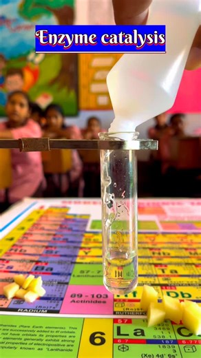 Vineet Chaudhary on Instagram: "✨Enzyme catalysis : When hydrogen peroxide (H₂O₂) is added to a potato slice, the enzyme catalase within the potato cells rapidly breaks it down into water (H₂O) and oxygen gas (O₂). The visible bubbles are the oxygen gas being released, demonstrating enzyme catalysis by accelerating a chemical reaction that would otherwise occur very slowly. The potato slice is an excellent source of catalase, and this experiment highlights that enzymes are essential for many bio