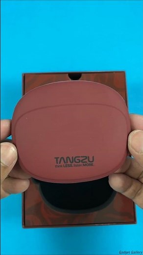 Tangzu Wan'er SG2 Red Lion Edition