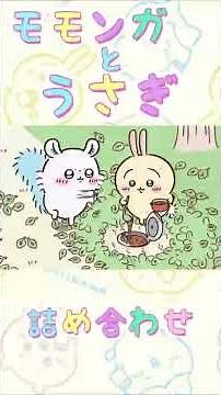 [Chiikawa Anime] Assorted flying squirrels and rabbits #Latest Chiikawa Episode #Chiikawa Anime #...