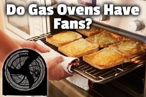 Do Gas Ovens Have Fans? (Not always, but when they do . . . )