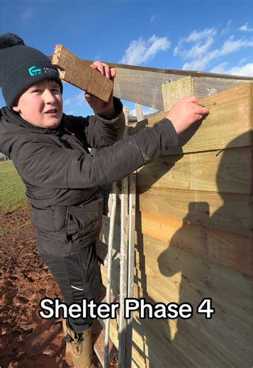 Building a Horseshelter: Expert Help and Hands-On Solutions