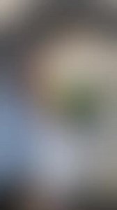 1.1K views · 61 reactions | Struggling to get your cat on the wheel?...