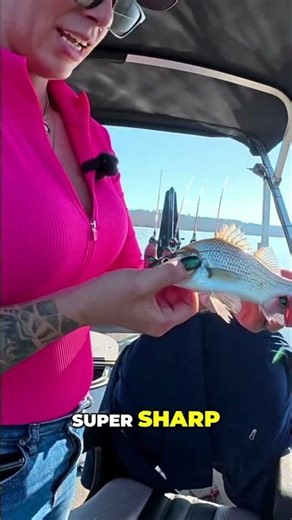 Beware White Perch: Sharp Spines and Gill Plates! #shorts