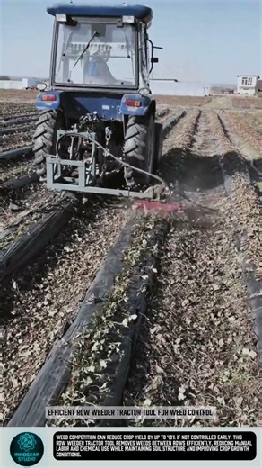Efficient row weeder tractor tool for weed control #tools