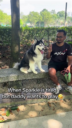 Sparkle and Max: A Playful Dog's Dilemma