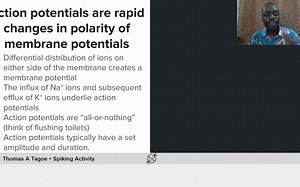 Brain Signals: Spiking Activity