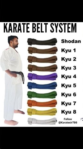 10 KARATE COLOUR BELT LEVELS #karate #karatesir786 #karatetraining