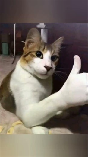 tutorial para descargar Yenni mod