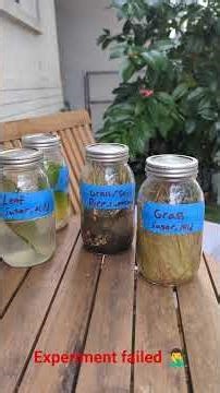 Lack of Planning means a failed experiment! #garden #microscope #science #soil #microscope