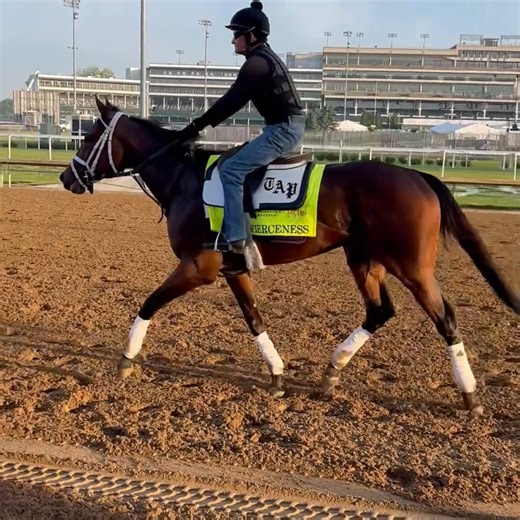Trotting into the 4th of July weekend like... 🎉 🏇 | Equibase Company