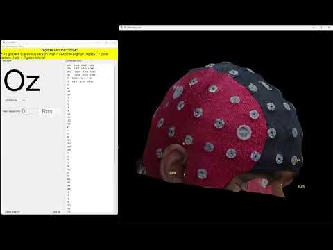 Automatic EEG Electrode Localization and Labeling in Brainstorm (2024 version)