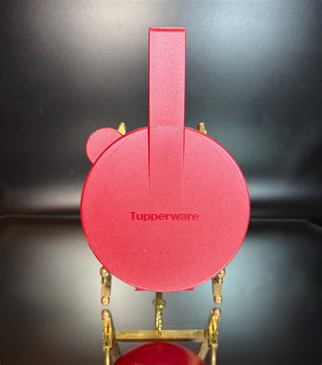 Tupperware Junior Forget Me Not Hanging Onion Tomato Avocado Keeper Maroon Metallic Plastic - Etsy