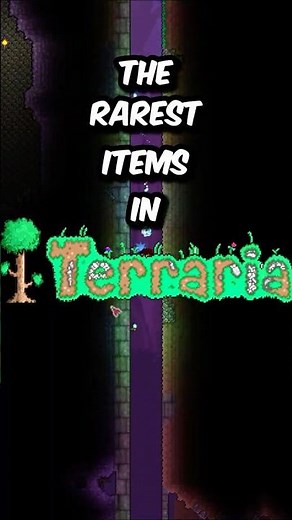 Rarest Items In Terraria