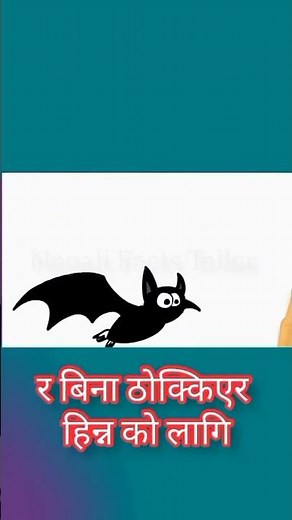 How Bats Hunt Their Food Using Sound (Echolocation Explained) The Science Behind Bat Flight