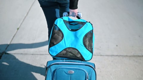 Shacke Premium 5 Packing Cubes Set - Lightweight Mesh Travel Luggage Organizers with Laundry Bag, 5-Piece Suitcase Storage System (Cream)