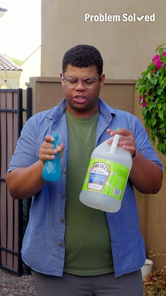 How to clean your garbage can to stop the smell