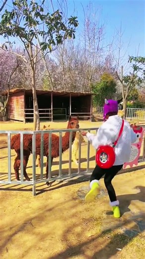 dances with animals#zoo #dance #fyp