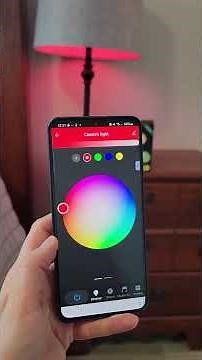 Smart Light Bulbs Review 💡📱: Alexa Integration & Brightness Test!