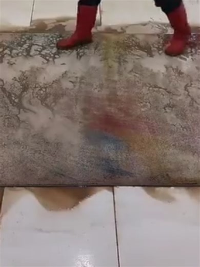 Expert Carpet Cleaning Services for US Homes