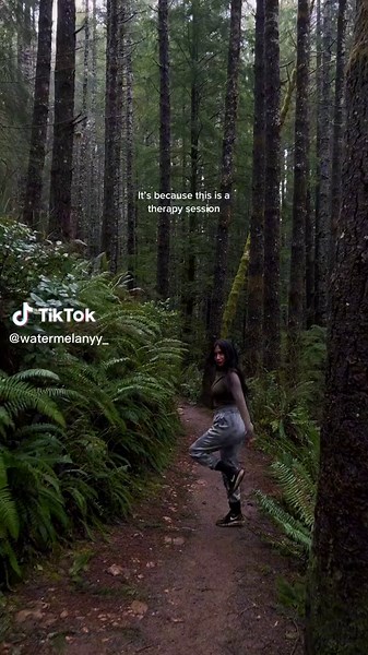 Forest Therapy: A Walk in the Woods