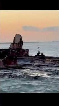 This Texas shipwreck has an unusual history