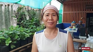 420K views · 9.2K reactions | ปลูกสตรอว์เบอร์รี เจริญเติบโตได้ดี | CCNews-Live | Facebook