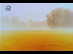 Emmerdale Farm episode 562 (13th of March 1980)