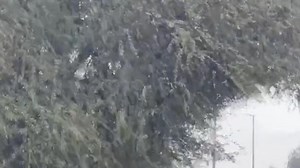 UAE weather: Temperatures to slightly drop; light rain on eastern coast