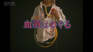 血液はめぐる | ふしぎがいっぱい （6年） | NHK for School