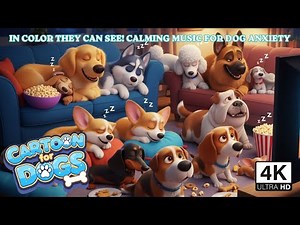 🔴Anti Anxiety Cartoon For Dogs 🐶 Best Cartoon to Prevent Boredom & Anxiety in Dogs While You're Away