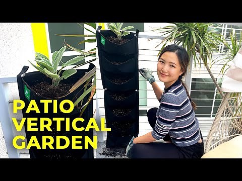 Turn My Apartment Patio into a Tiny Vertical GARDEN! | Container Gardening from Seeds